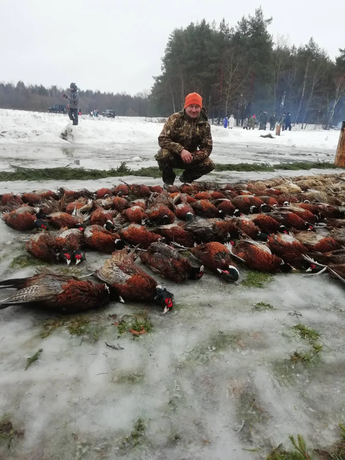 изображение_viber_2024-02-07_12-12-38-136